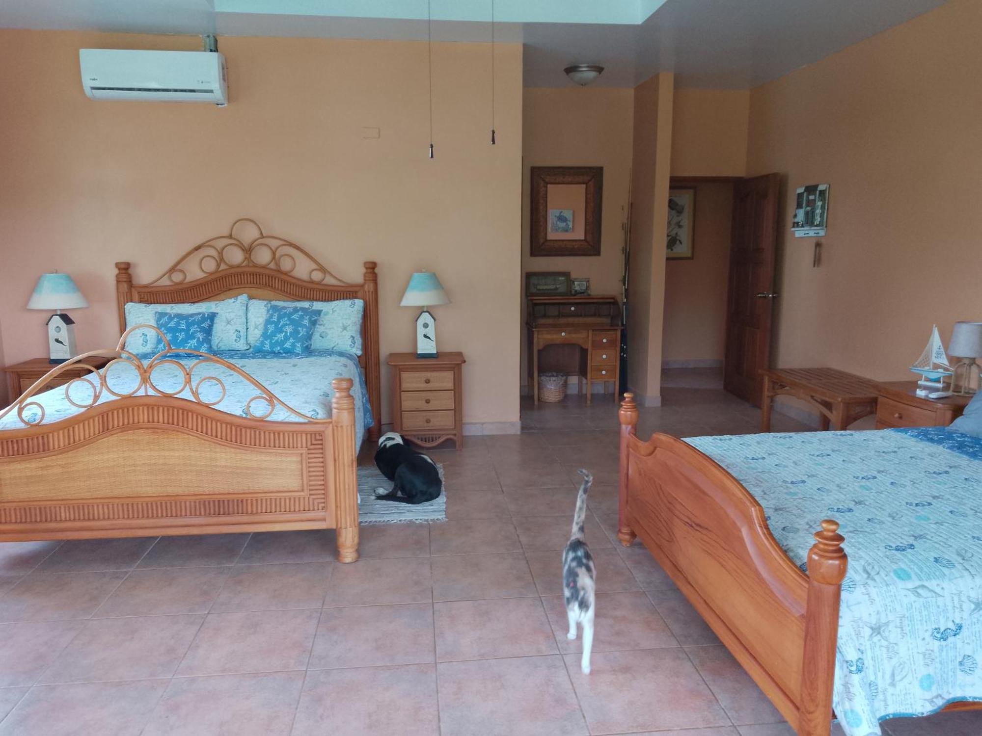 Gone Fishing Panama Resort Boca Chica Bagian luar foto